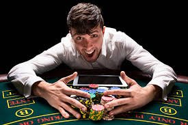 6177 bet 6177 bet